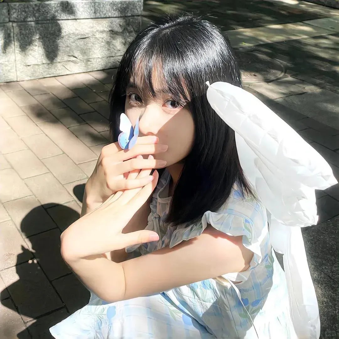 大象之梦